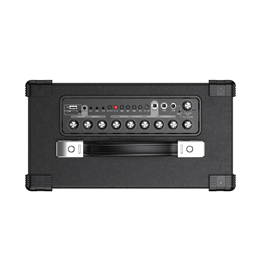 SHIDU A6 100W Performance PA System Portable Speaker with Mic (100W, Bluetooth 5.0, 5000mAh)