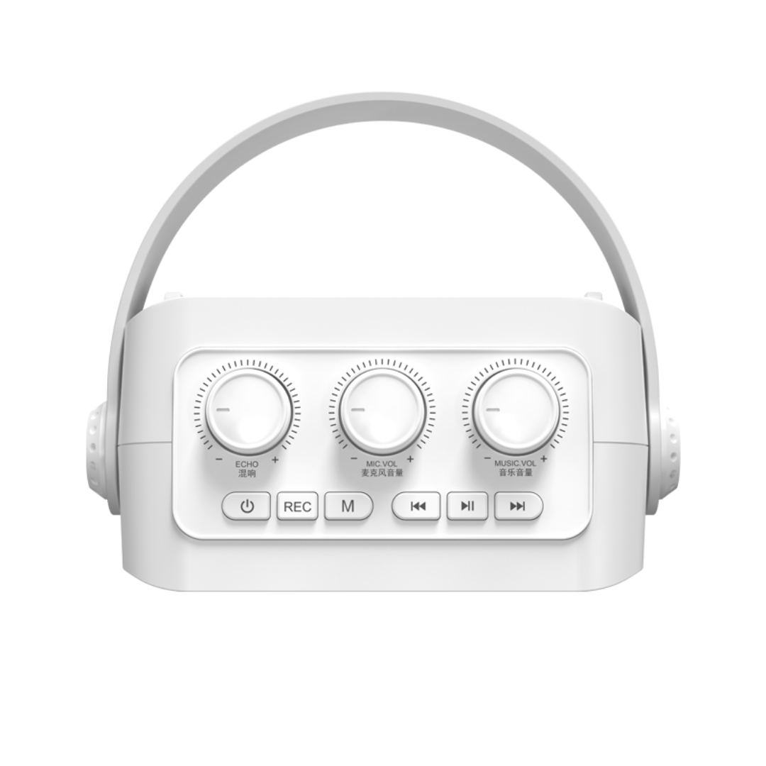 SHIDU S95 25W Portable Powerful Loudspeaker (25W, Bluetooth 5.0, 4000mAh)