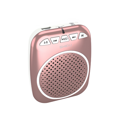 SHIDU S308 Portable Light Wired Voice Amplifier (10W, 1050mAh)