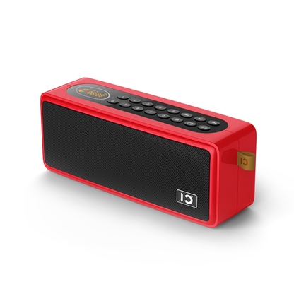 SHIDU S208 FM Radio Digital Player Bluetooth with Multifunction Speaker (24W, Bluetooth 5.0, 3600mAh)