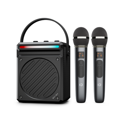 SHIDU H12 Dual Mic Portable Karaoke Speaker (30W, Bluetooth 5.4, 4500mAh)