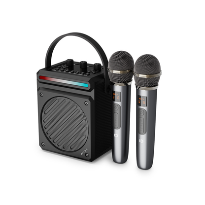 SHIDU H12 Dual Mic Portable Karaoke Speaker (30W, Bluetooth 5.4, 4500mAh)