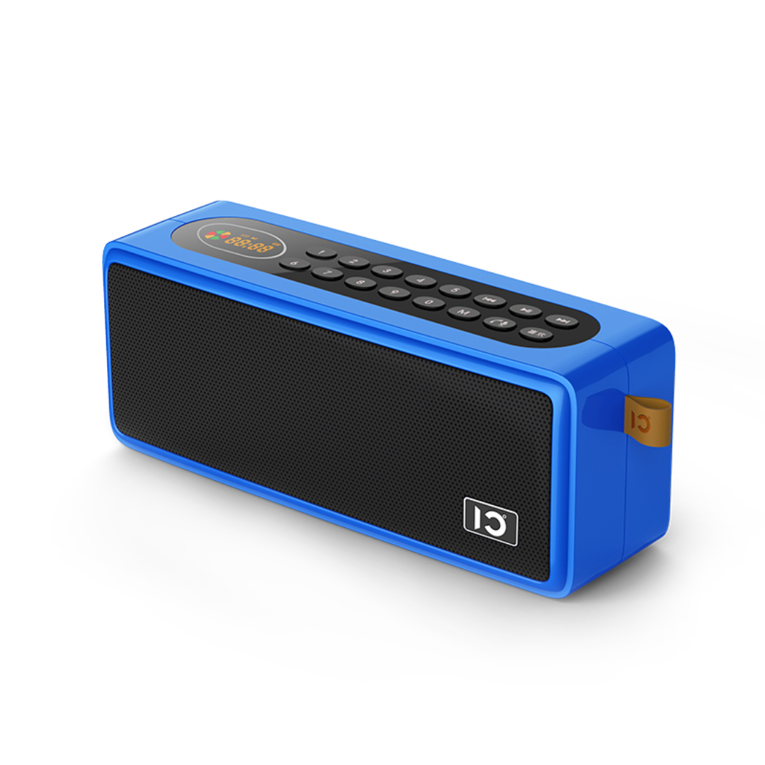 SHIDU S208 FM Radio Digital Player Bluetooth with Multifunction Speaker (24W, Bluetooth 5.0, 3600mAh)