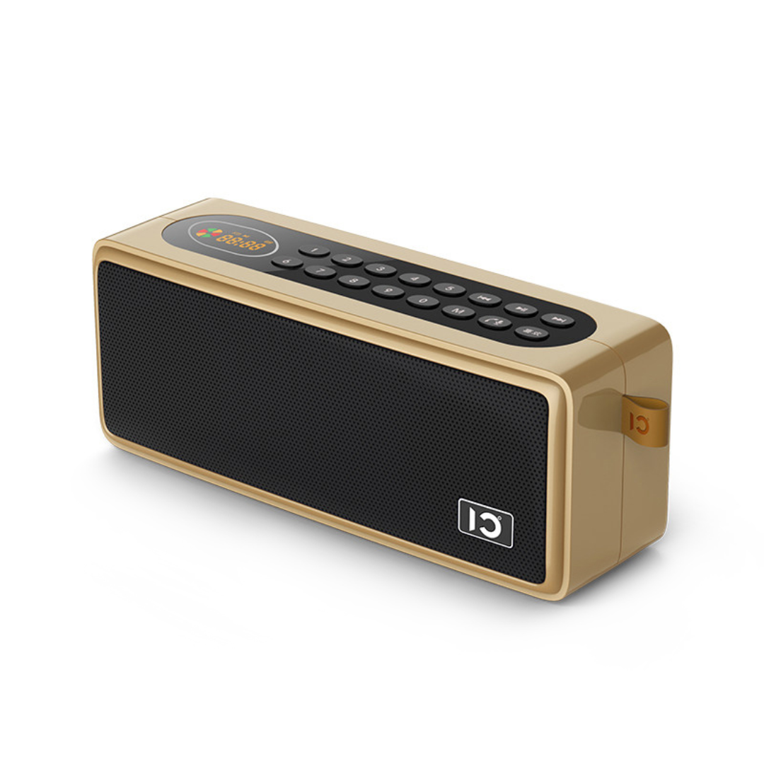 SHIDU S208 FM Radio Digital Player Bluetooth with Multifunction Speaker (24W, Bluetooth 5.0, 3600mAh)
