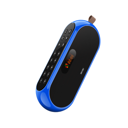 SHIDU S198 FM Radio Digital Player with USB/TF Card Music Play (16W, Bluetooth 5.0, 3000mAh)