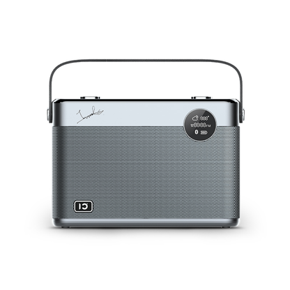 SHIDU T11 Speaker For Music (60W, Bluetooth 5.0, 5000mAh)