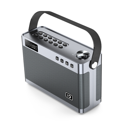 SHIDU T9 Portable Wireless Karaoke Speaker with Instrument Support (40W, Bluetooth 5.0, 4000mAh)