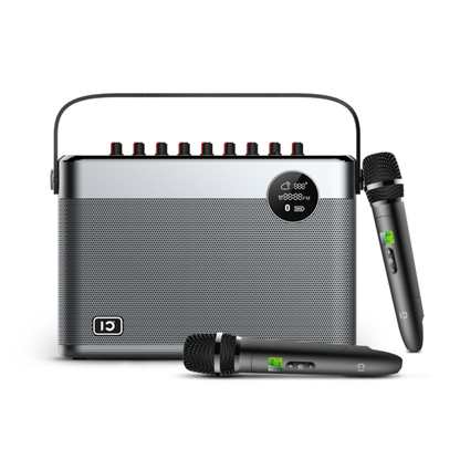 SHIDU T10 Home HiFi Portable Speaker (60W, Bluetooth 5.0, 5000mAh)