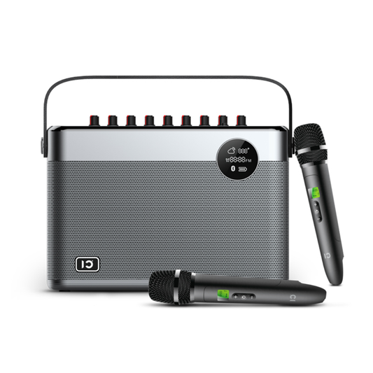 SHIDU T10 Home HiFi Portable Speaker (60W, Bluetooth 5.0, 5000mAh)