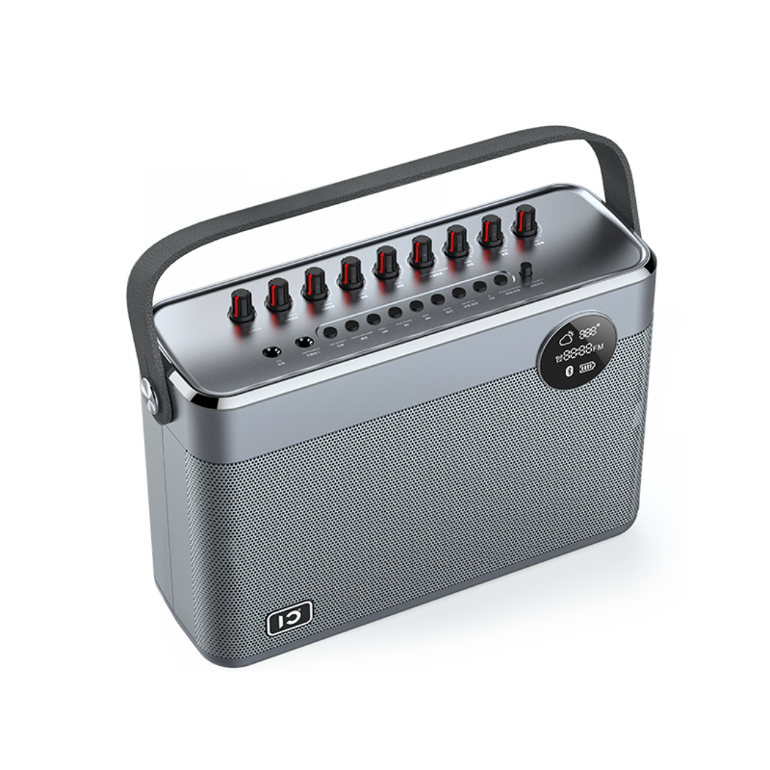 SHIDU T10 Home HiFi Portable Speaker (60W, Bluetooth 5.0, 5000mAh)