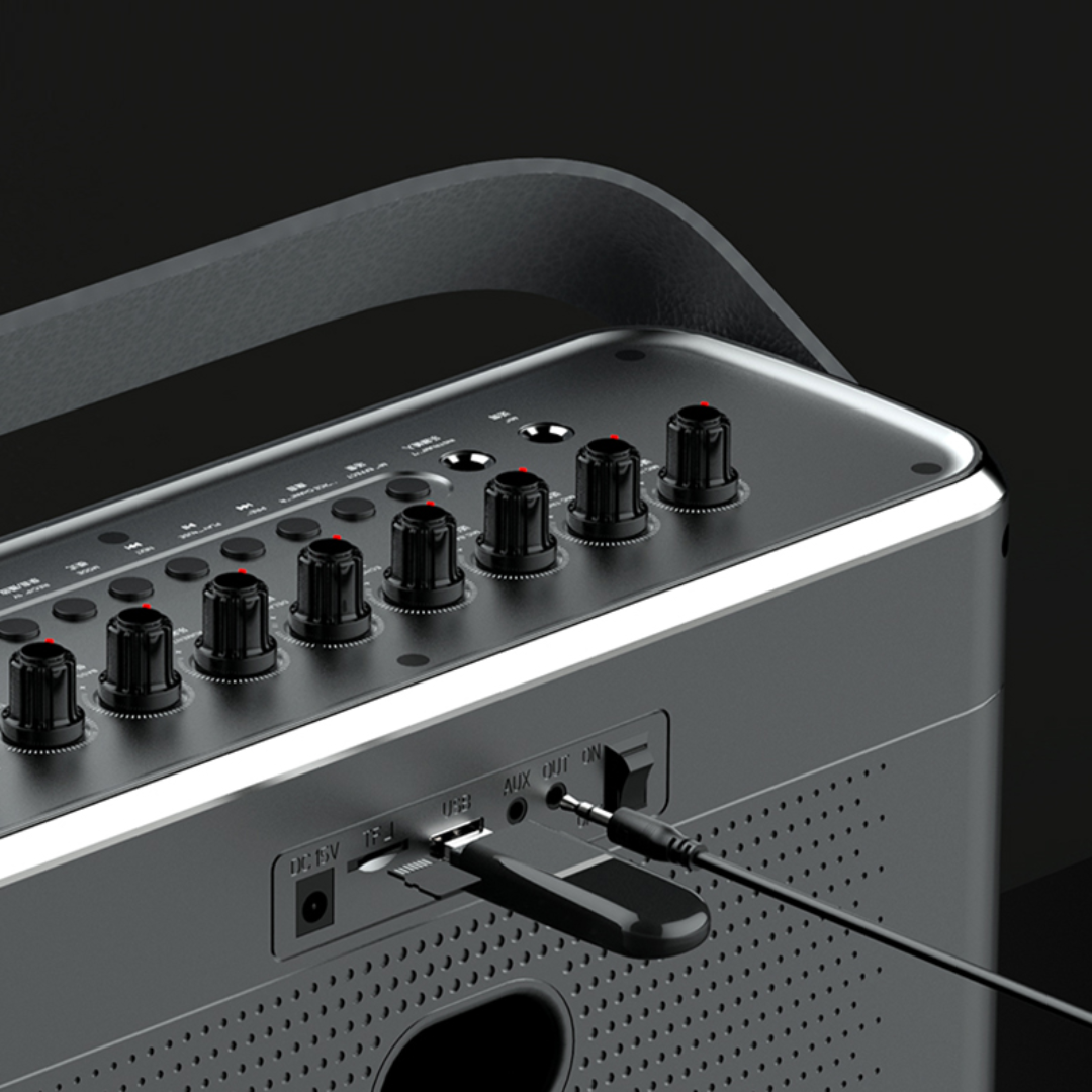 SHIDU T10 Home HiFi Portable Speaker (60W, Bluetooth 5.0, 5000mAh)