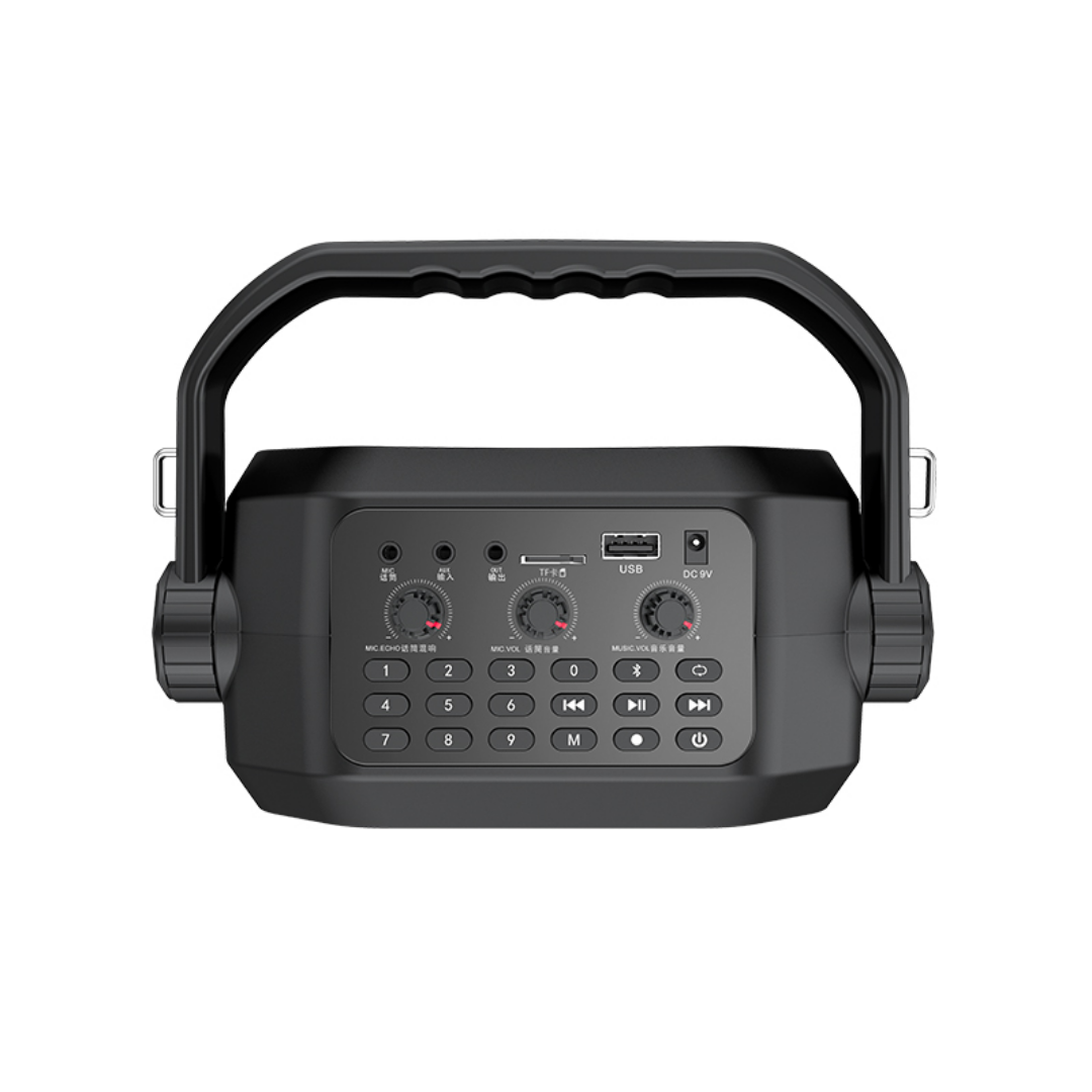 SHIDU H4 30W Mini Karaoke Speaker System (30W, Bluetooth 5.0, 2000mAh)