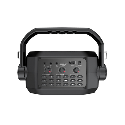 SHIDU H4 30W Mini Karaoke Speaker System (30W, Bluetooth 5.0, 2000mAh)