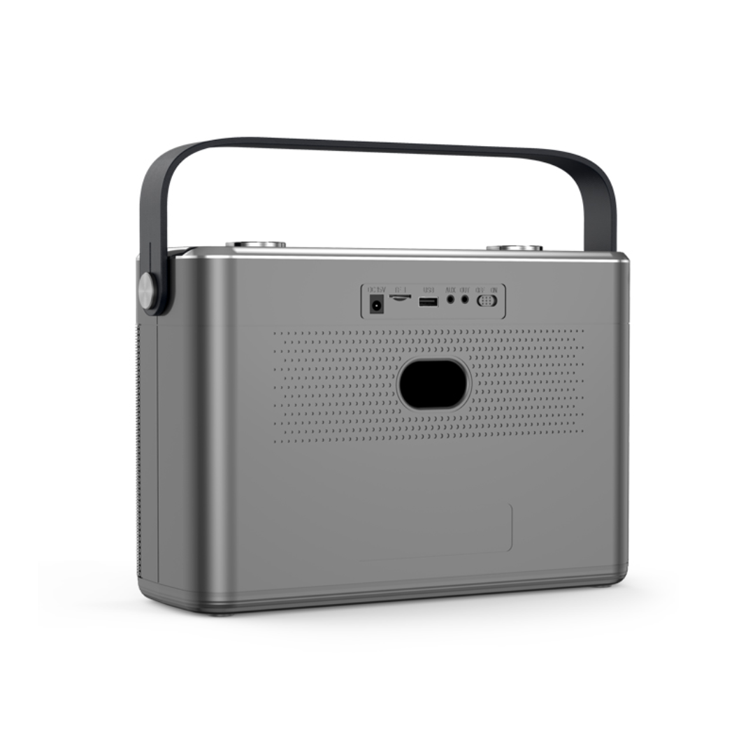 SHIDU T11 Wireless PA Speaker For Karaoke and Music (80W, Bluetooth 5.0, 5200mAh)