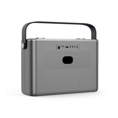 SHIDU T11 Wireless PA Speaker For Karaoke and Music (80W, Bluetooth 5.0, 5200mAh)